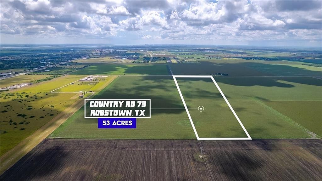 53.3 Acres of Recreational Land for Sale in Robstown, Texas
