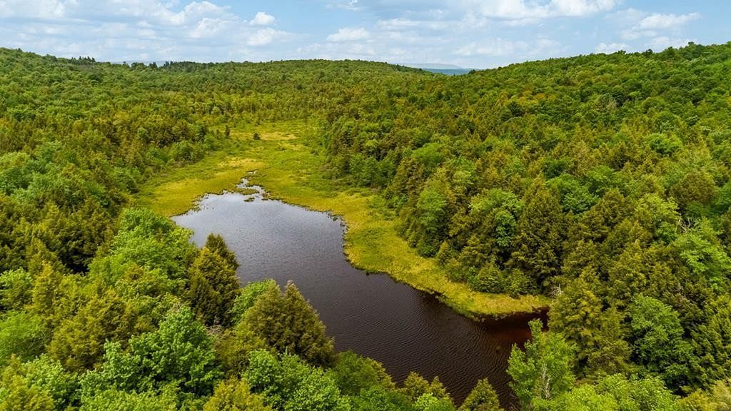 86.5 Acres of Recreational Land for Sale in Dushore, Pennsylvania