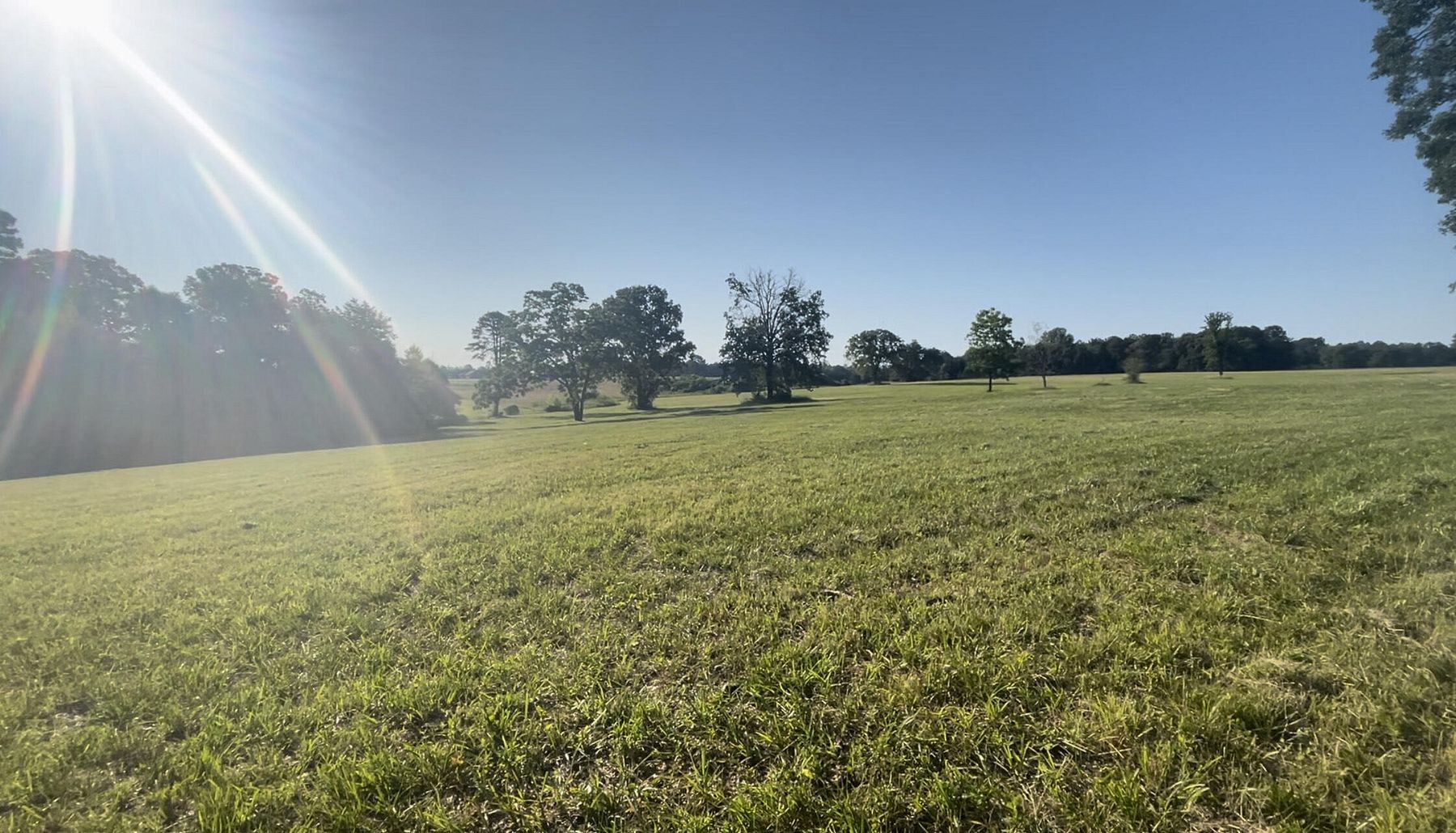 20 Acres of Land for Sale in Russellville, Arkansas