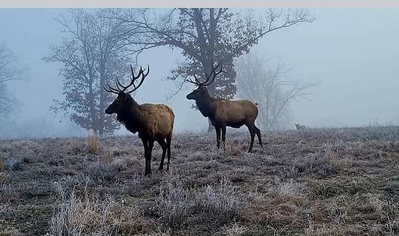 1,000 Acres of Land with Home for Sale in Stover, Missouri