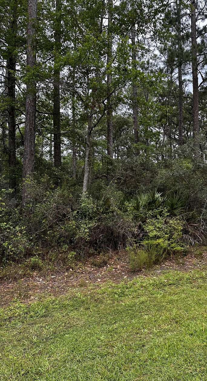 0.56 Acres of Residential Land for Sale in Freeport, Florida
