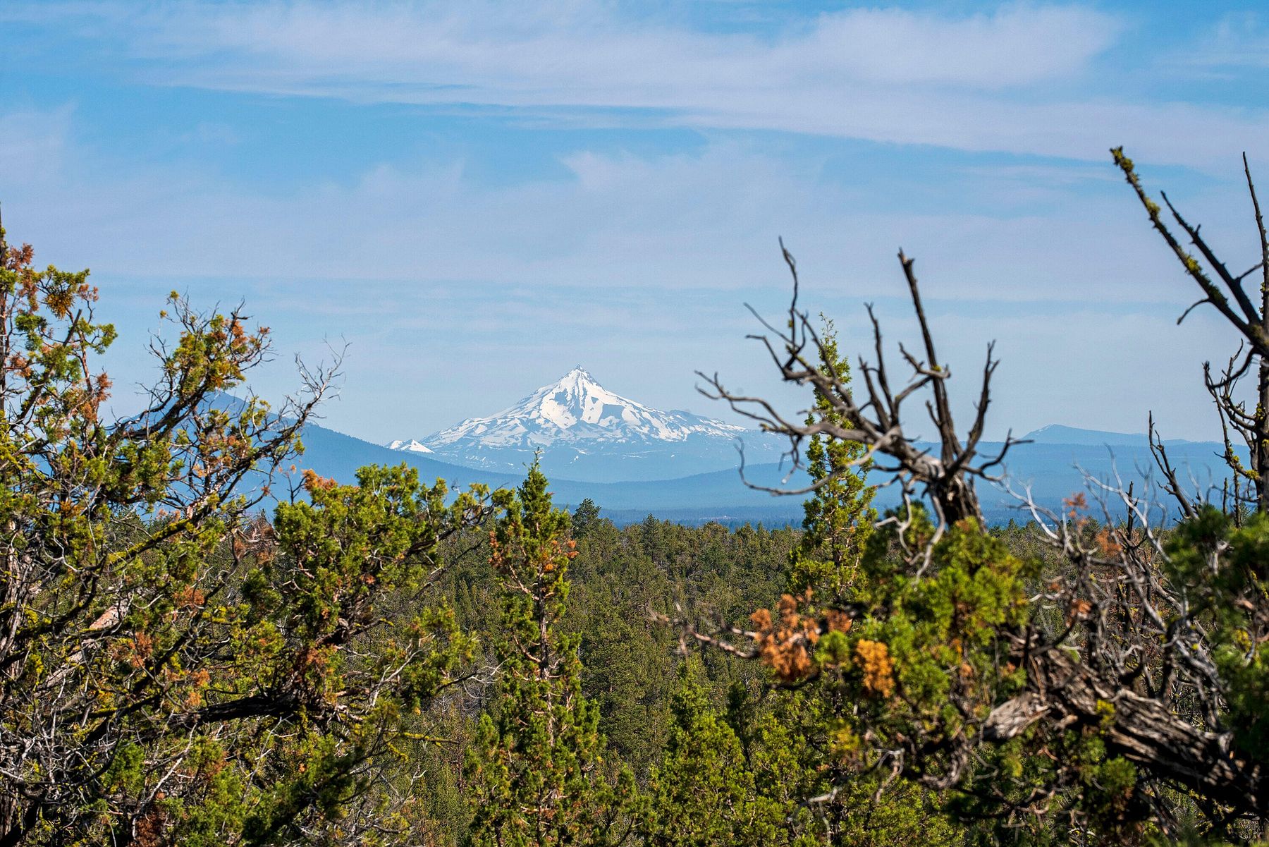 40 Acres of Land for Sale in Bend, Oregon