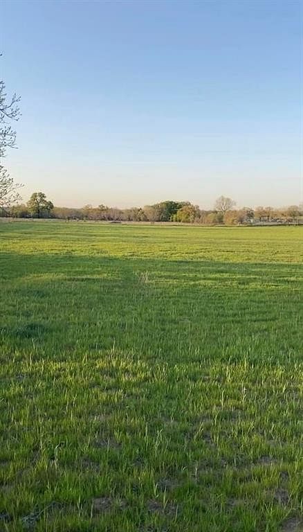 1 Acre of Land for Sale in Bridgeport, Texas
