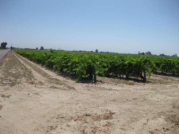 38.2 Acres of Agricultural Land for Sale in Selma, California