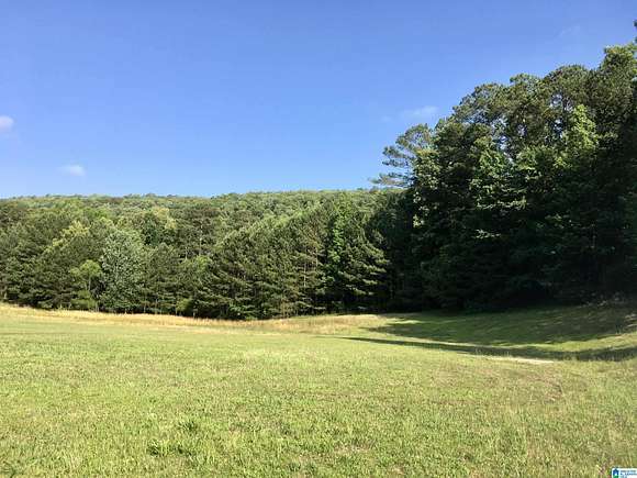 1.2 Acres of Land for Sale in Oneonta, Alabama