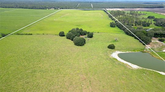 161 Acres of Land for Sale in Dunnellon, Florida