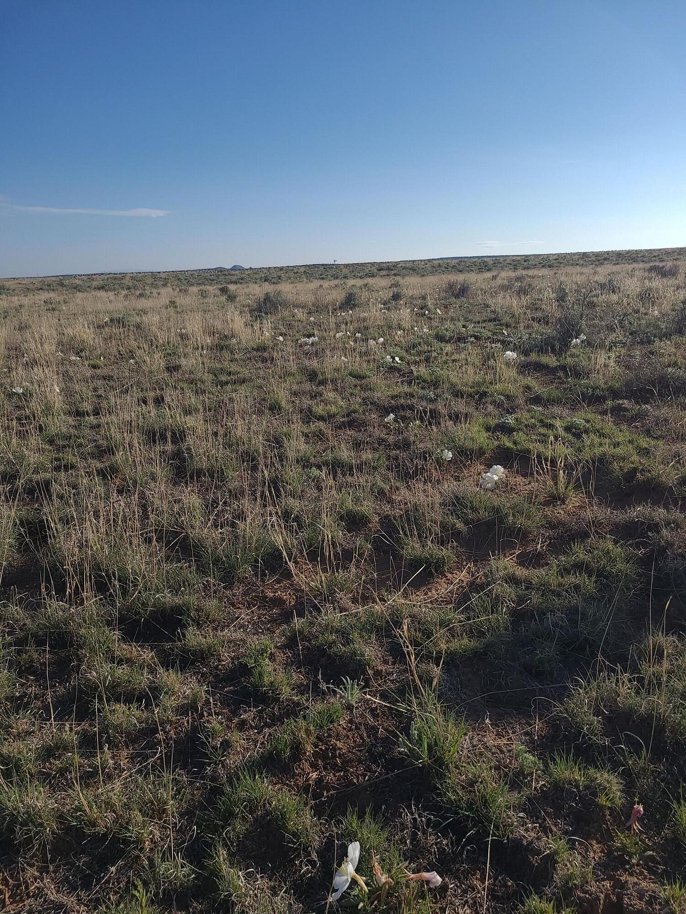 2 Acres of Land for Sale in Moriarty, New Mexico