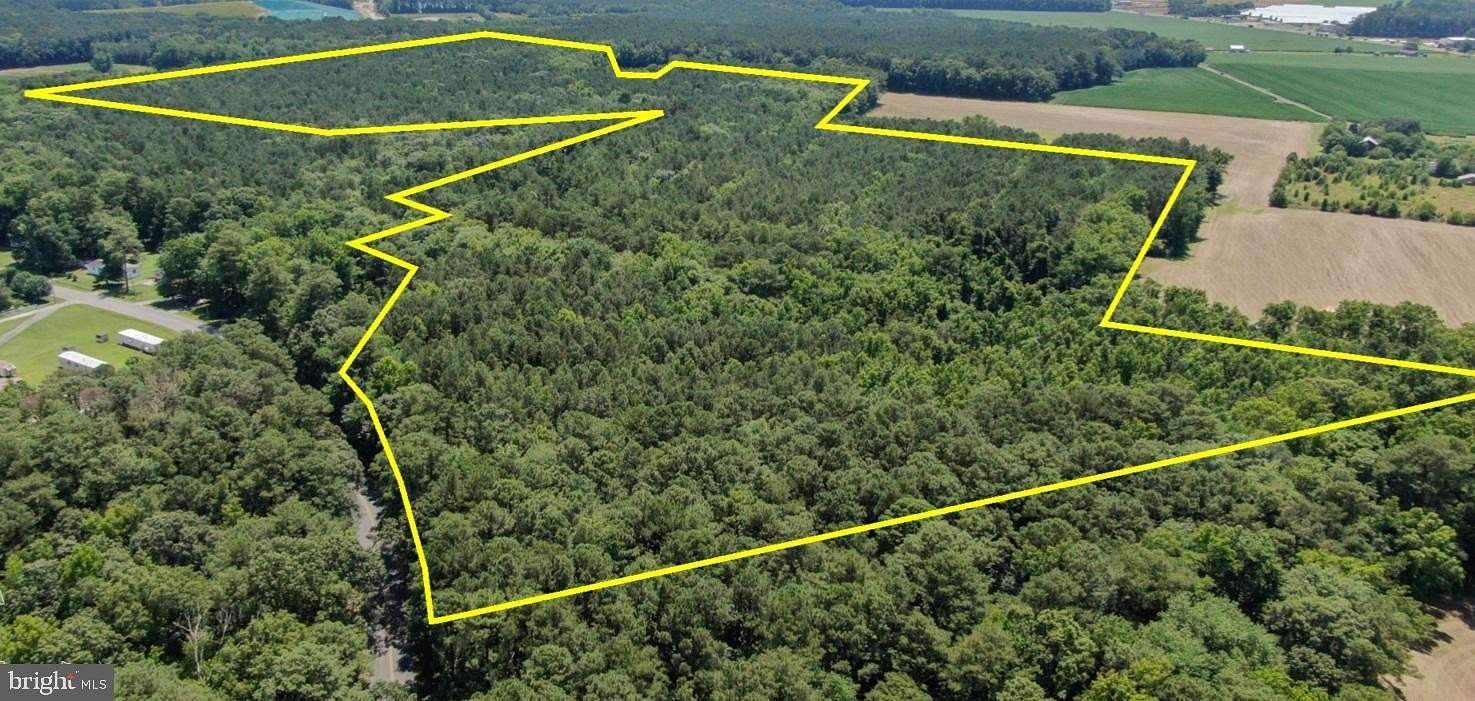 64.13 Acres of Recreational Land for Sale in Temperanceville, Virginia