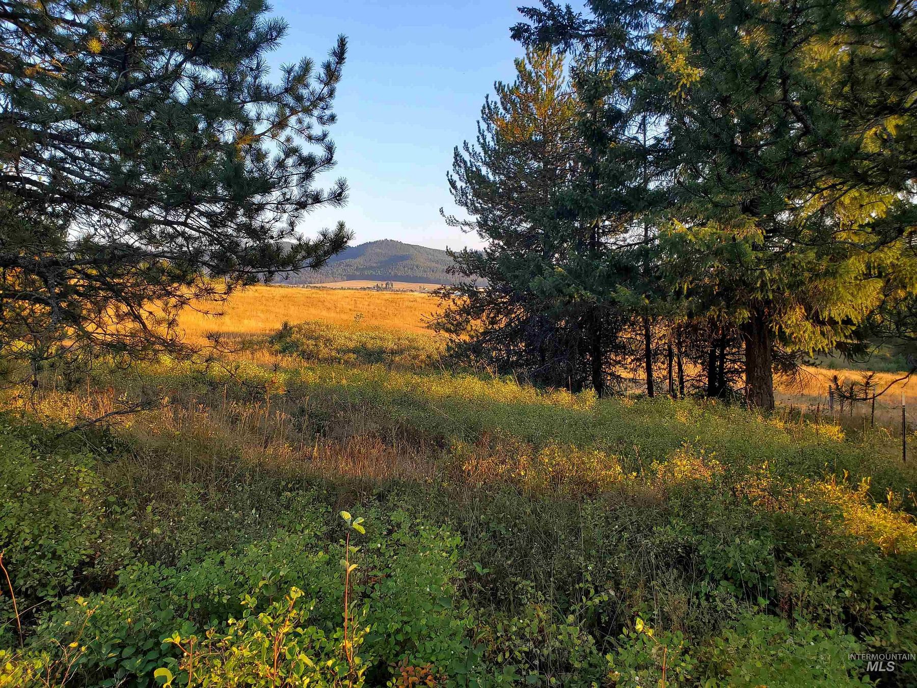 101 Acres of Agricultural Land for Sale in Harvard, Idaho
