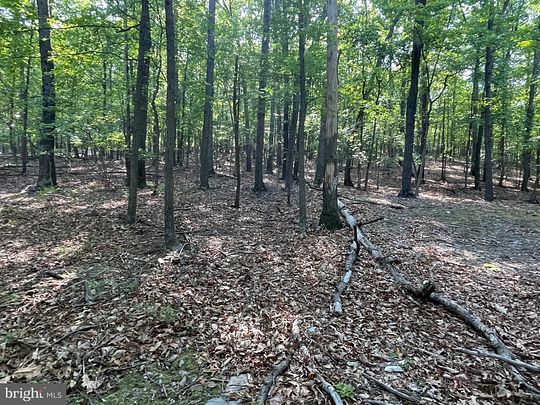 3.29 Acres of Land for Sale in Hedgesville, West Virginia - LandSearch