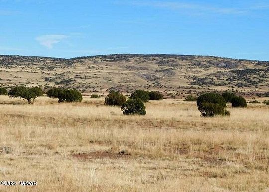 40 Acres of Agricultural Land for Sale in Concho, Arizona