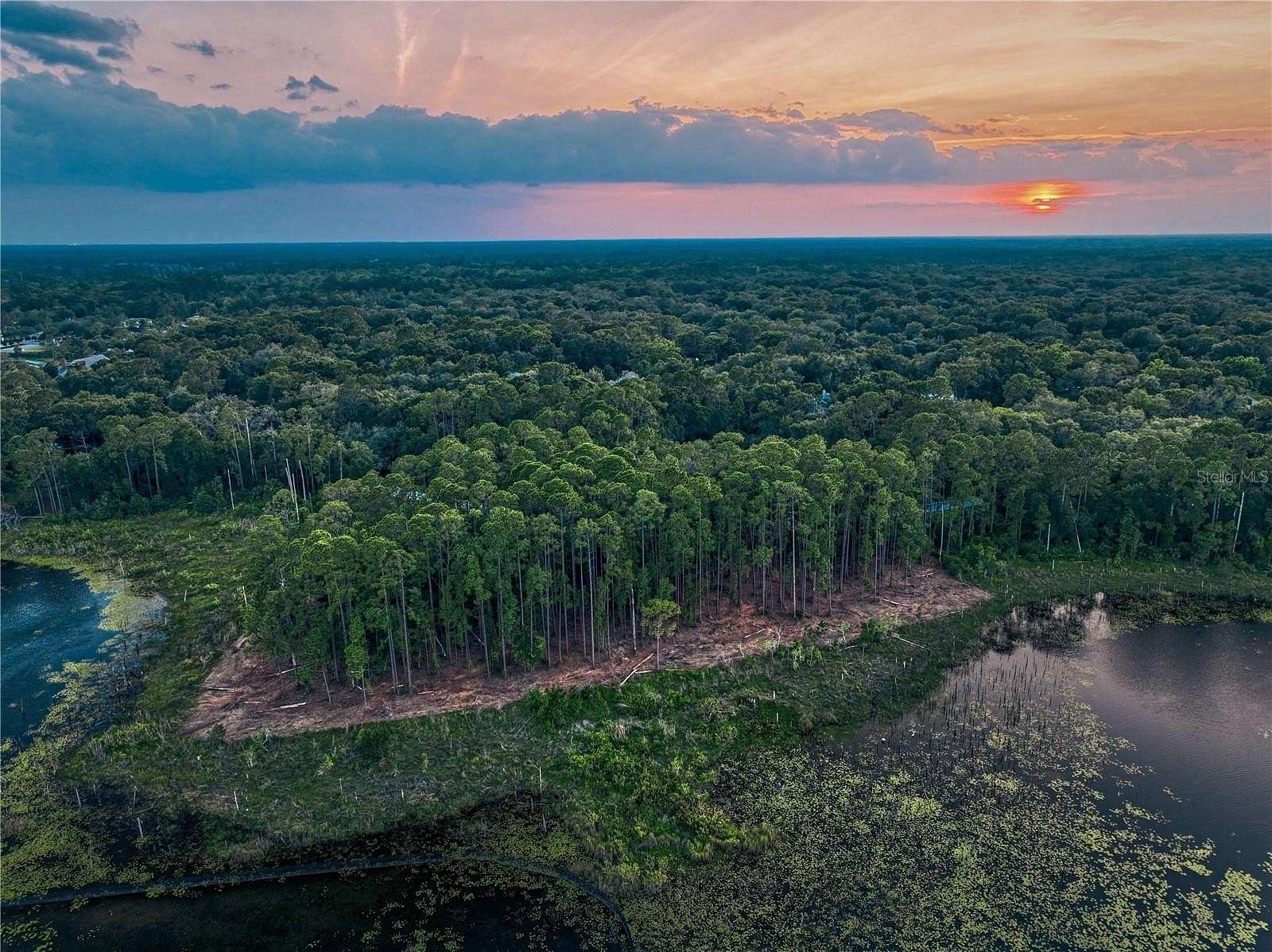 5 Acres of Residential Land for Sale in Lake Mary, Florida