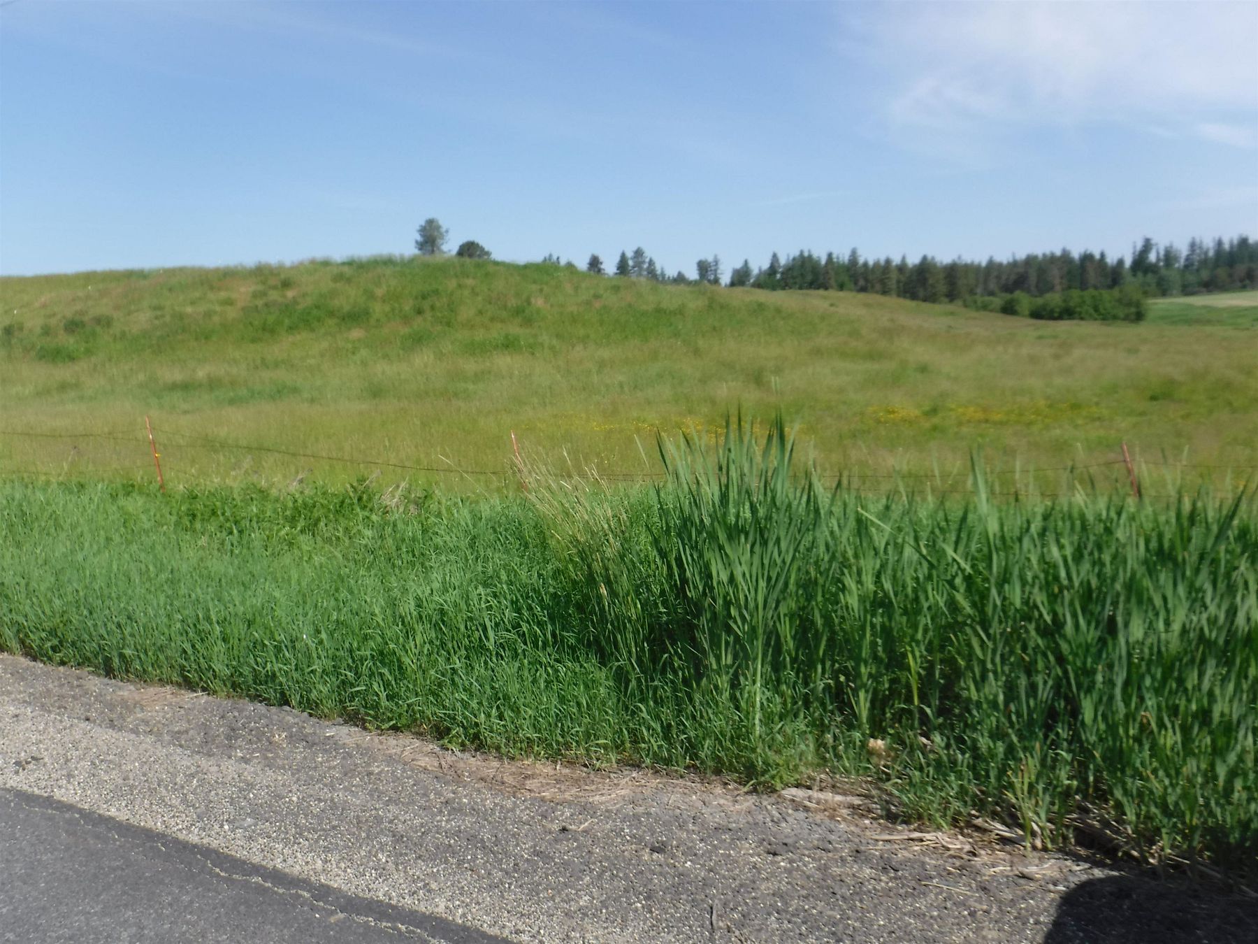 17 Acres of Land for Sale in Deer Park, Washington