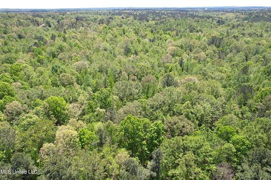 95.6 Acres of Recreational Land for Sale in Newton, Mississippi