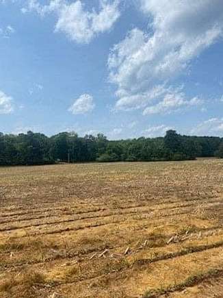 2 Acres of Improved Commercial Land for Sale in Cohutta, Georgia