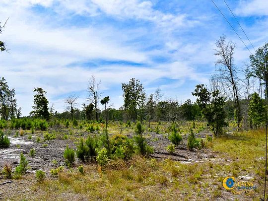 79 Acres of Recreational Land for Sale in Bethune, South Carolina
