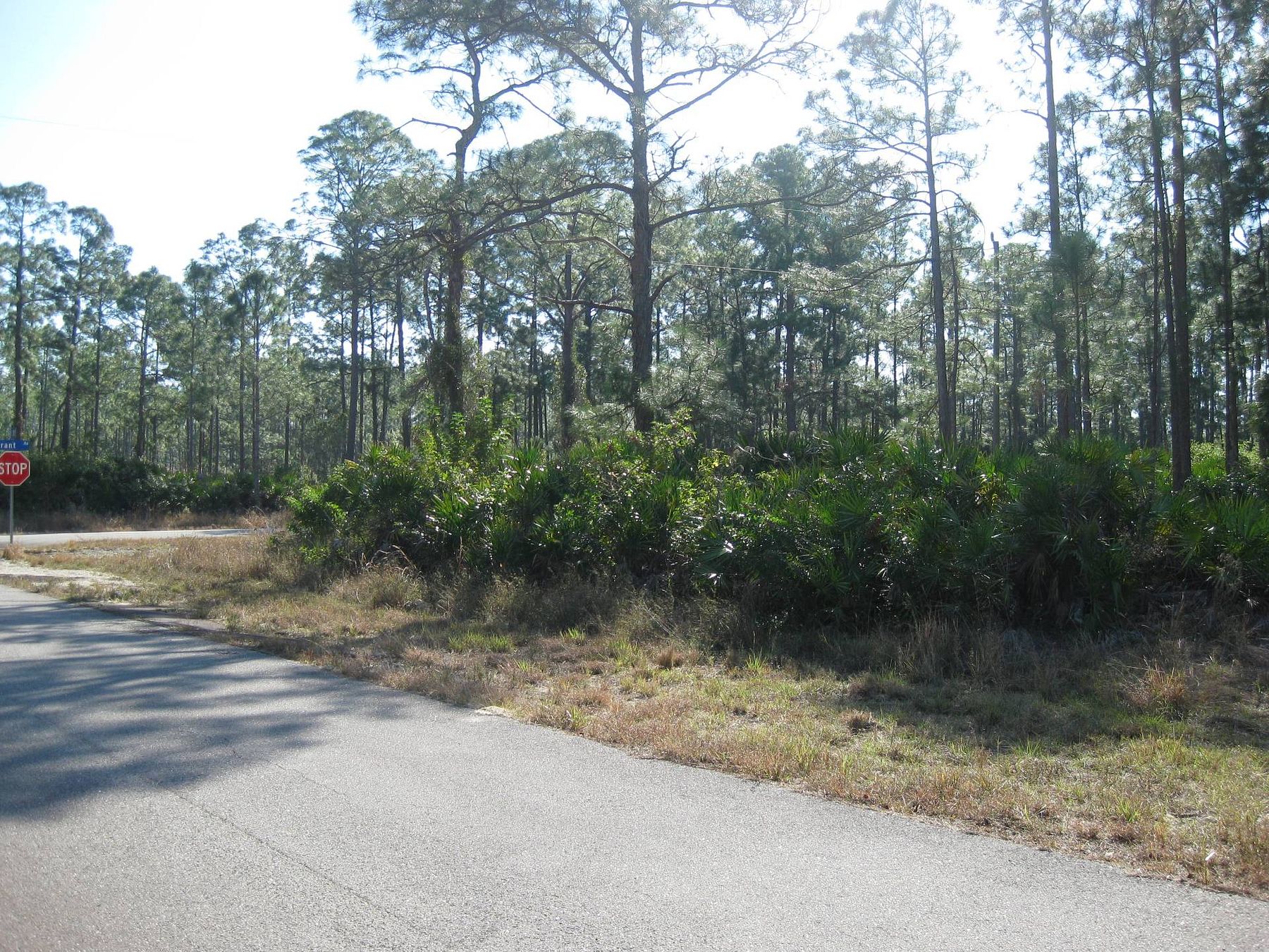 0.25 Acres of Land for Sale in Lehigh Acres, Florida