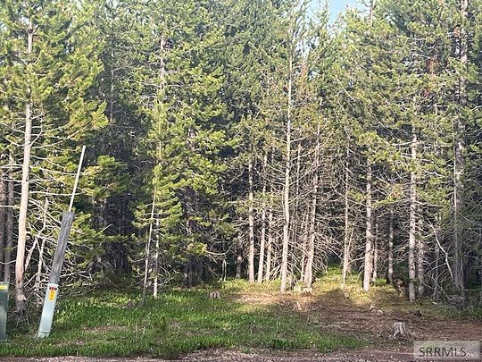 1.2 Acres of Residential Land for Sale in Island Park, Idaho