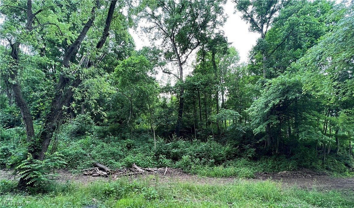 0.99 Acres of Residential Land for Sale in Zanesville, Ohio