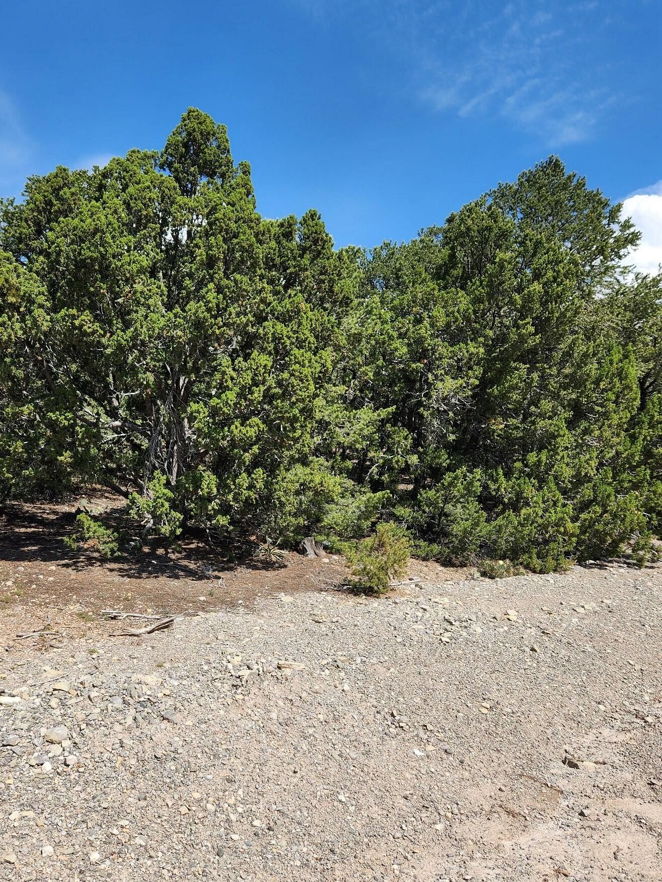 2.2 Acres of Residential Land for Sale in Tijeras, New Mexico