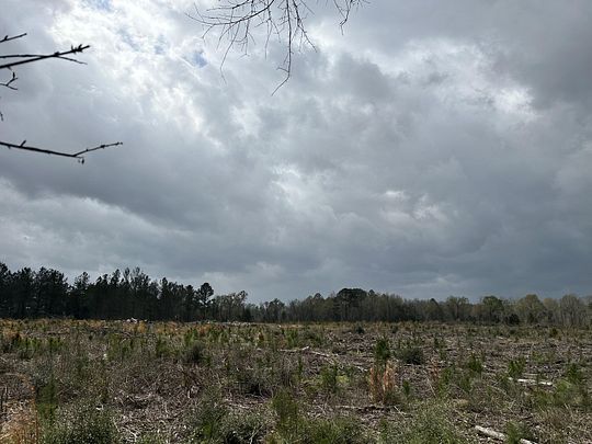 22.9 Acres of Recreational Land & Farm for Sale in DeFuniak Springs, Florida