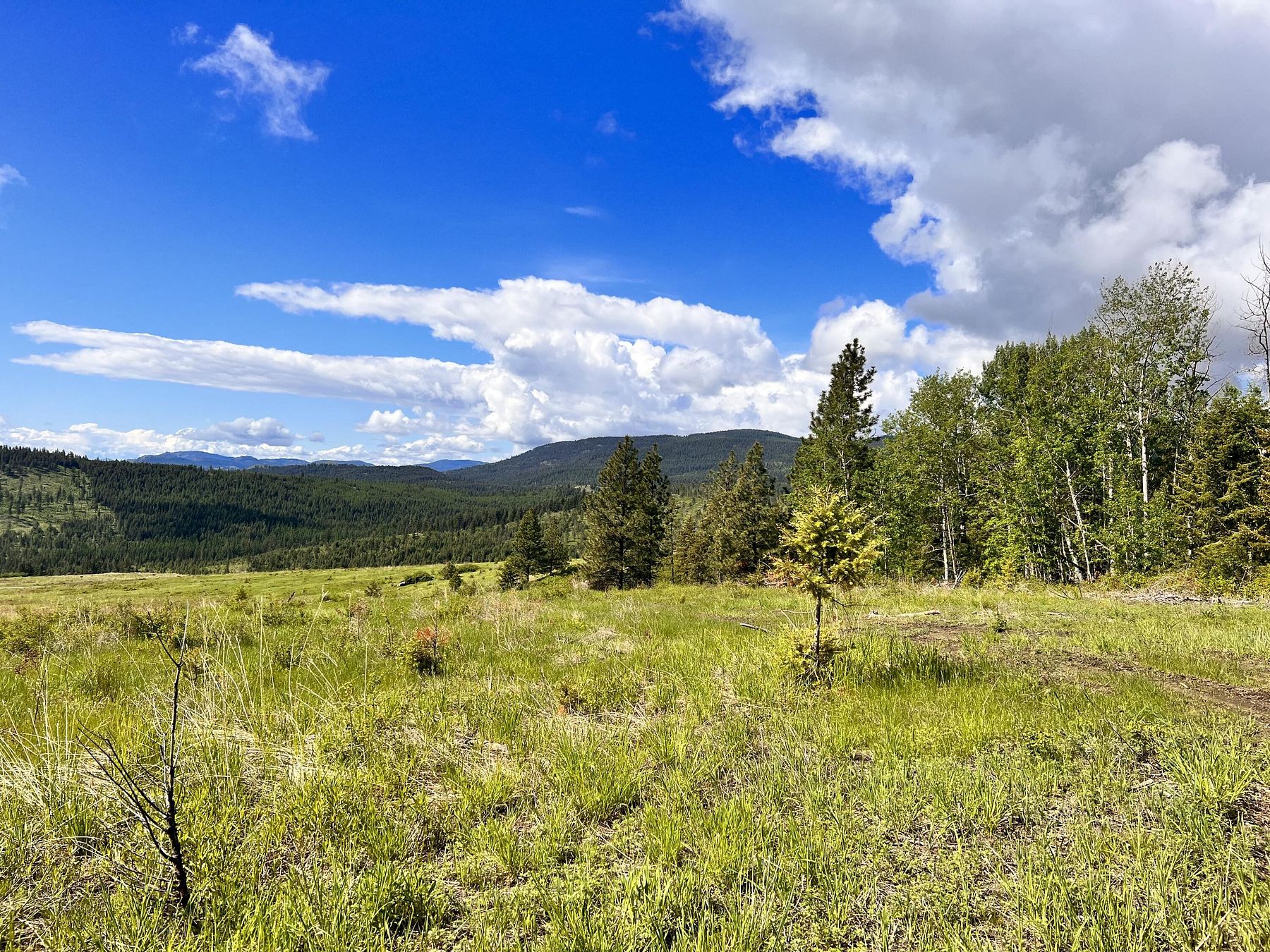 20.1 Acres of Land for Sale in Curlew, Washington