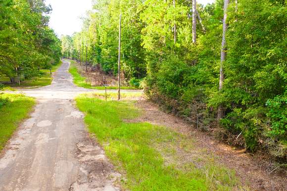 0.24 Acres of Residential Land for Sale in Woodville, Texas