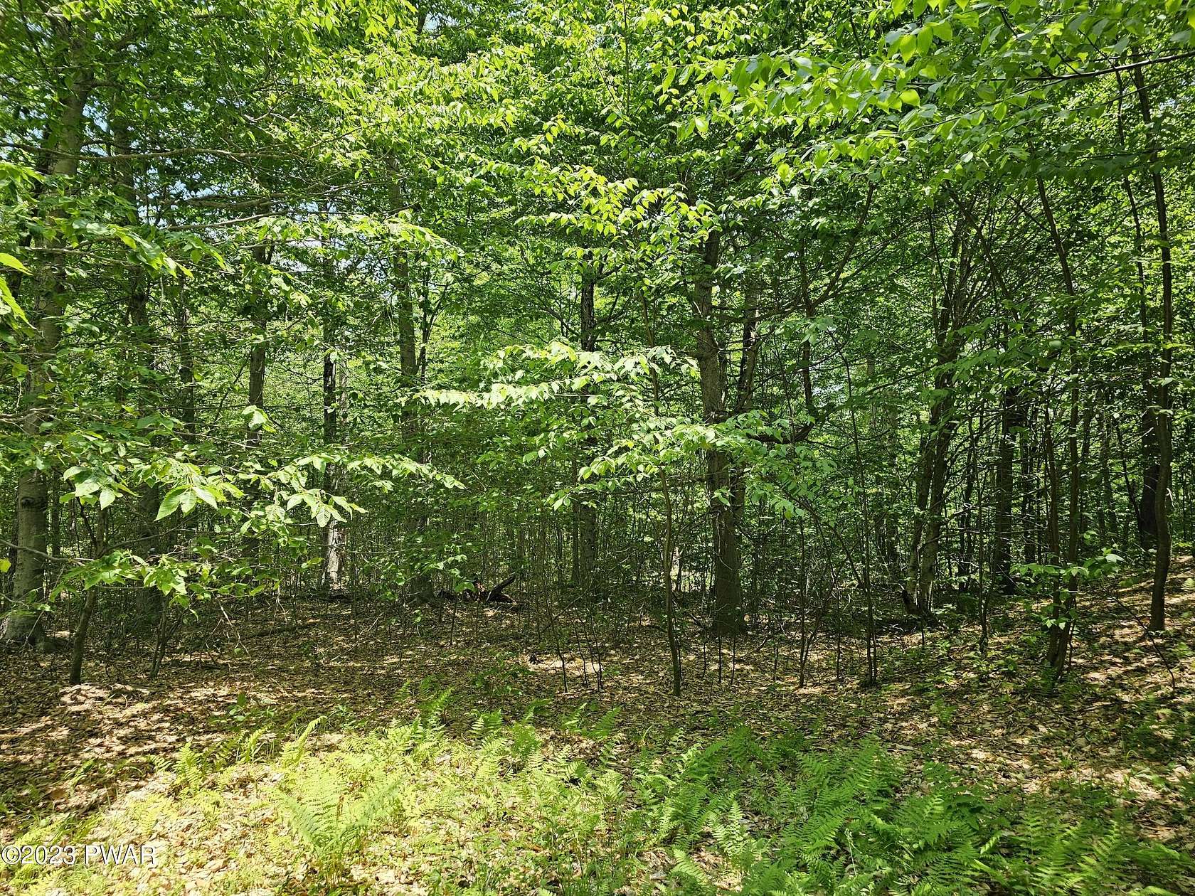 5.6 Acres of Land for Sale in Equinunk, Pennsylvania