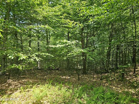 5.6 Acres of Land for Sale in Equinunk, Pennsylvania