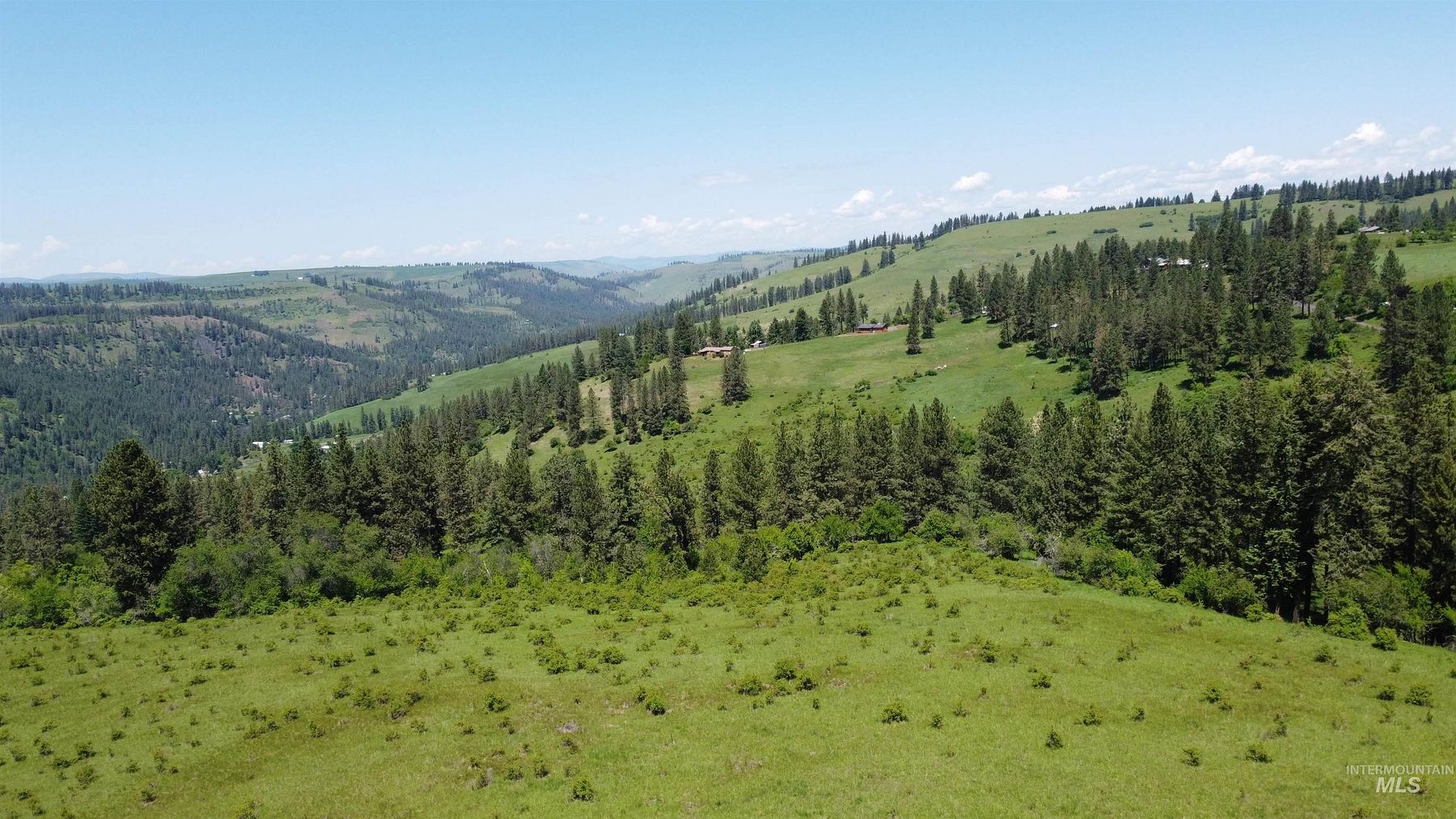 51.9 Acres of Recreational Land for Sale in Grangeville, Idaho