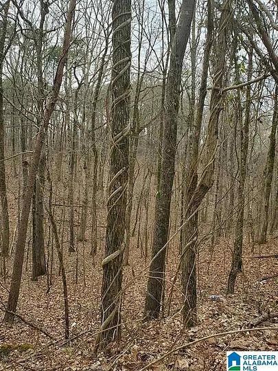 0.9 Acres of Land for Sale in Morris, Alabama