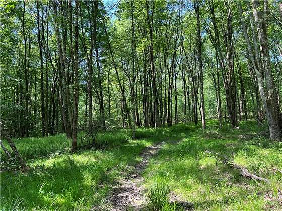 155 Acres of Recreational Land for Sale in Tusten, New York