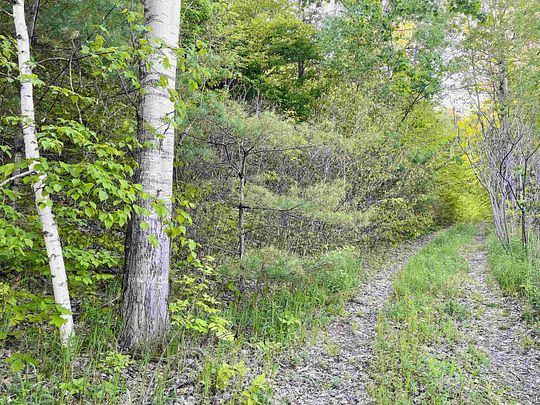 3.2 Acres of Land for Sale in Barnet, Vermont