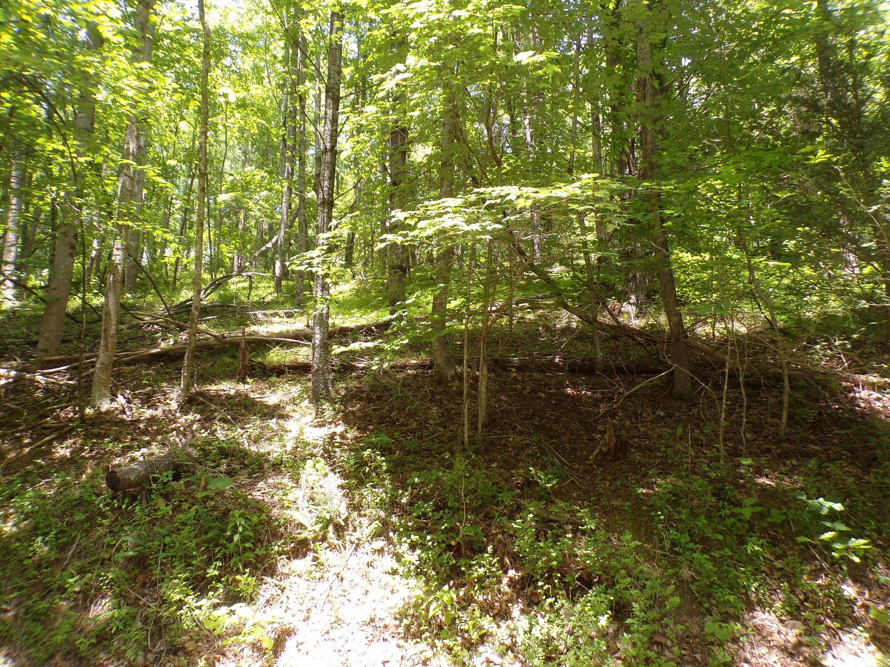 0.48 Acres of Residential Land for Sale in Butler, Tennessee