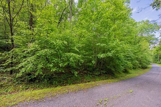 7.6 Acres of Residential Land for Sale in Bastian, Virginia