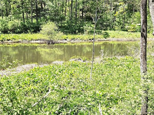 10.4 Acres of Land for Sale in Fly Creek, New York