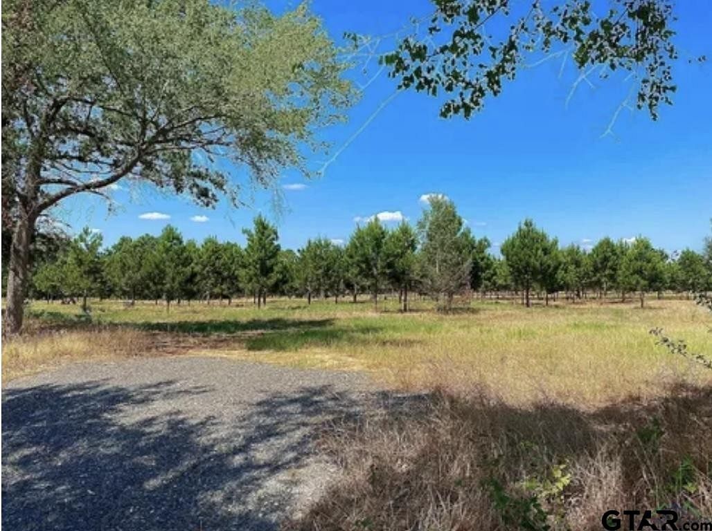 46.1 Acres of Land for Sale in Gilmer, Texas
