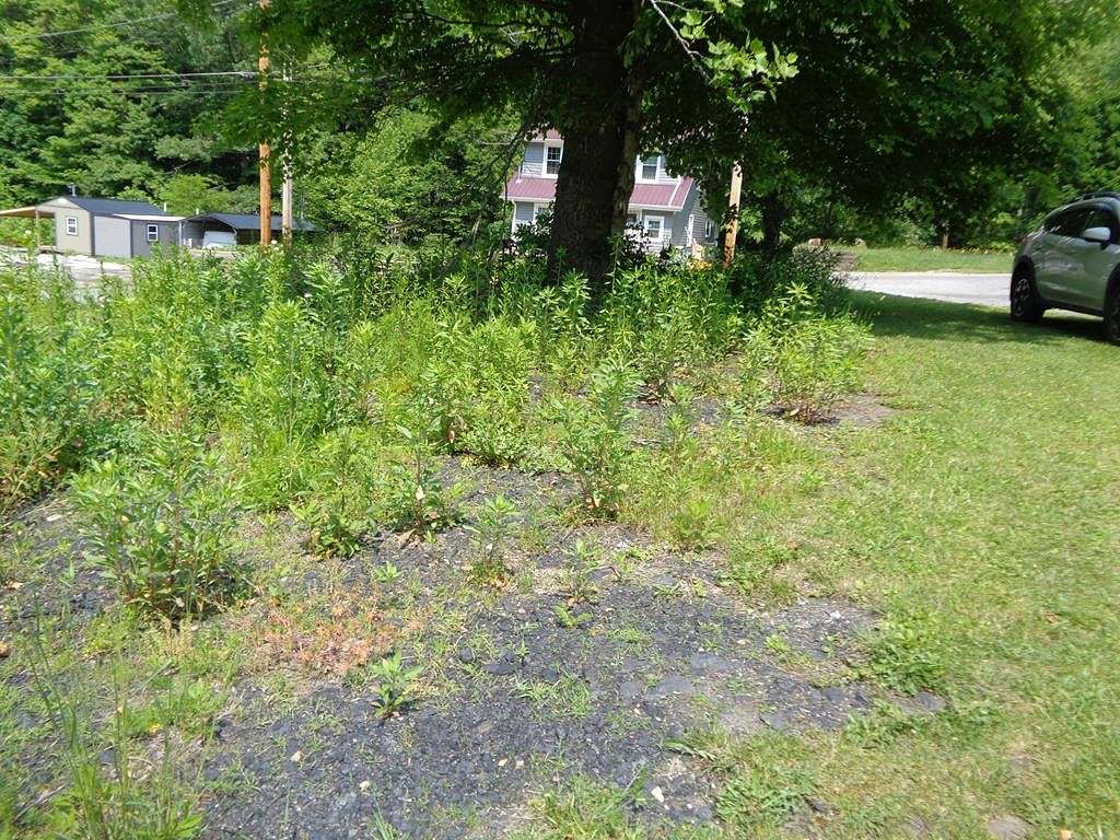 0.1 Acres of Residential Land for Sale in Crumpler, West Virginia