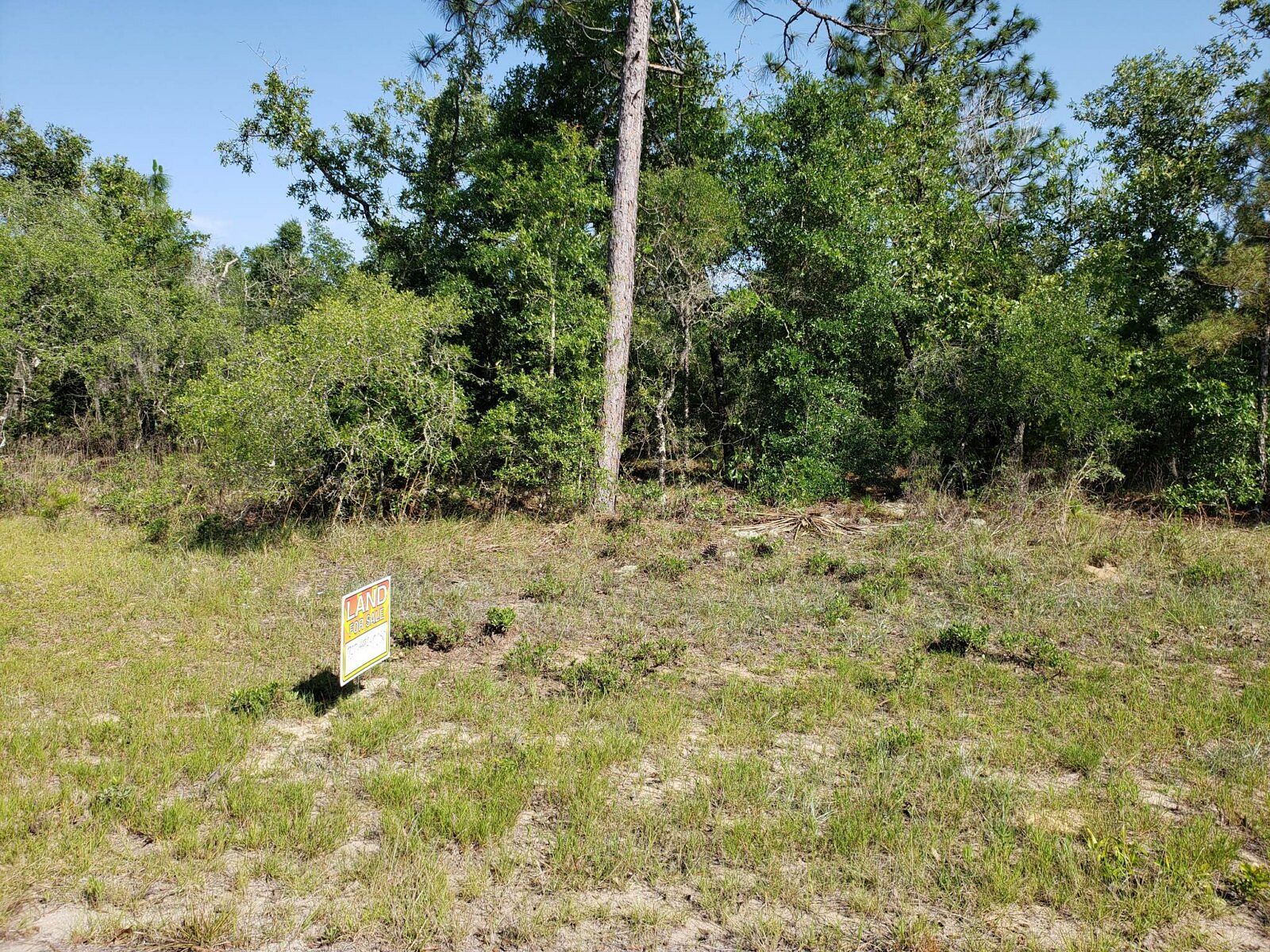 0.35 Acres of Residential Land for Sale in Chipley, Florida LandSearch