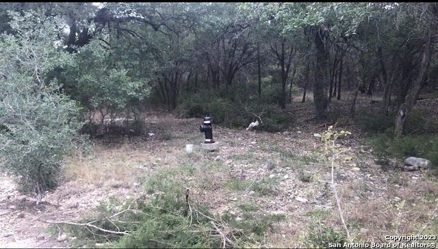 2.1 Acres of Residential Land for Sale in Mico, Texas