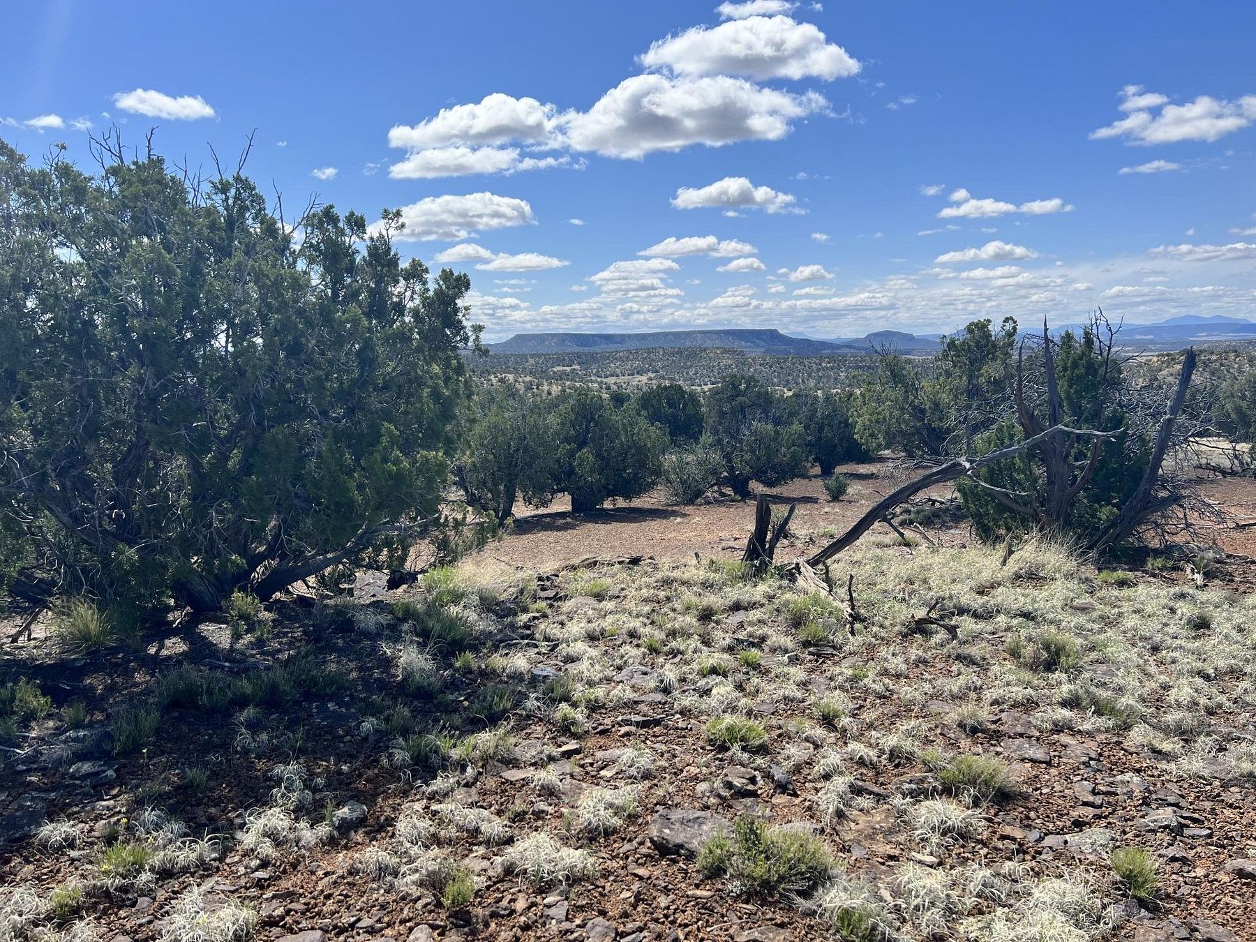 945 Acres of Recreational Land & Farm for Sale in Fence Lake, New Mexico