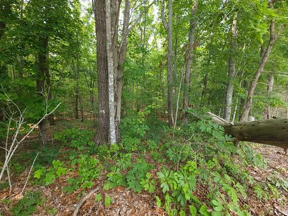 5 Acres of Residential Land for Sale in Gladstone, Virginia