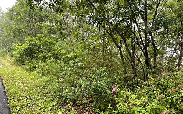 1.56 Acres of Residential Land for Sale in Brasstown, North Carolina
