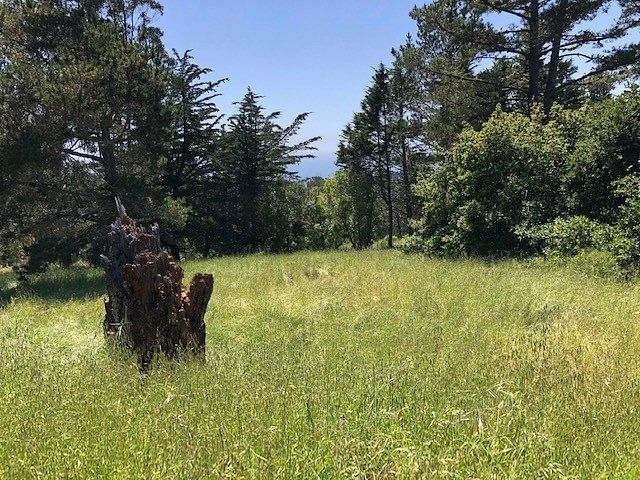 0.11 Acres of Land for Sale in Cambria, California