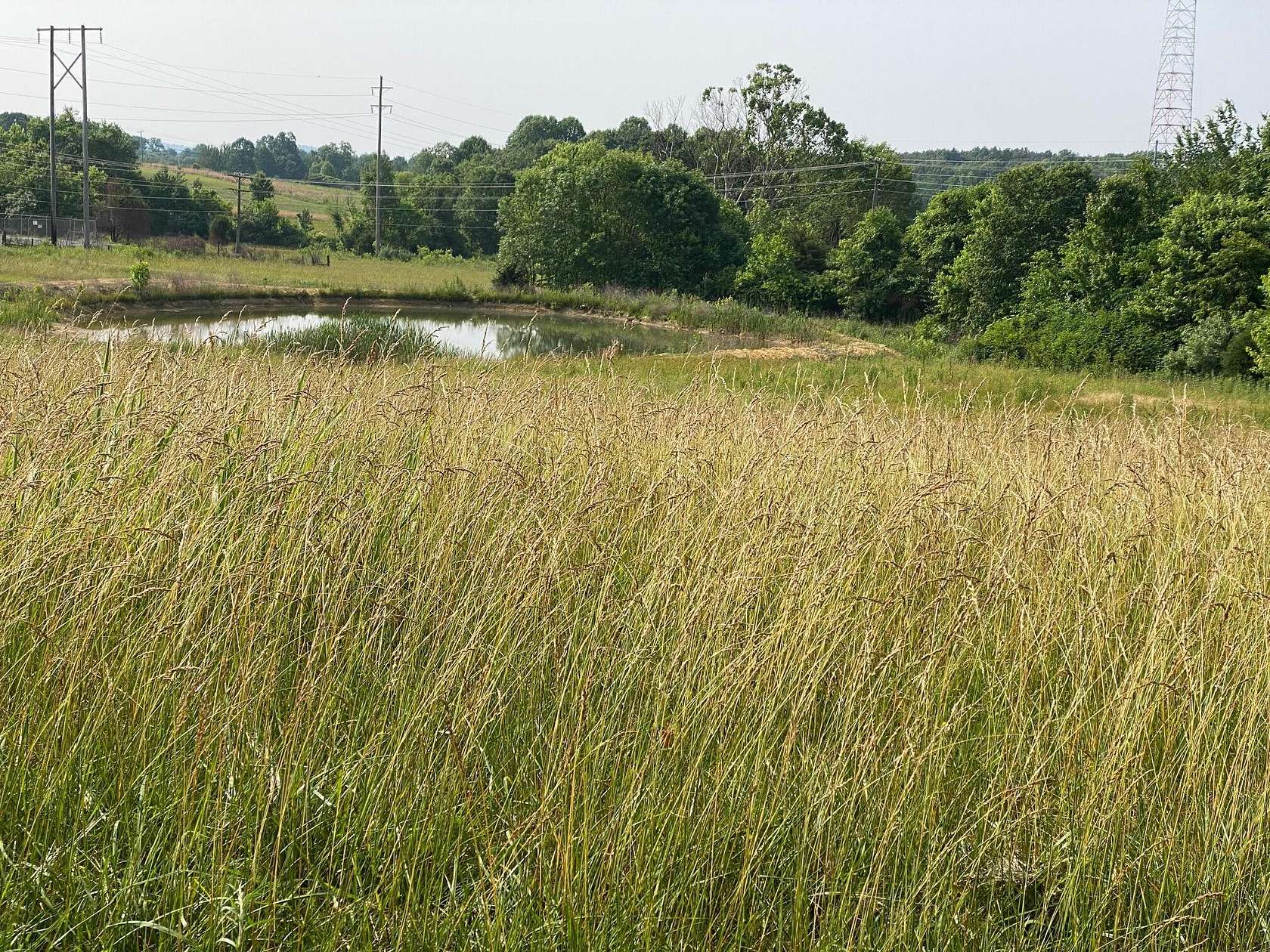 26 Acres of Agricultural Land for Sale in Science Hill, Kentucky