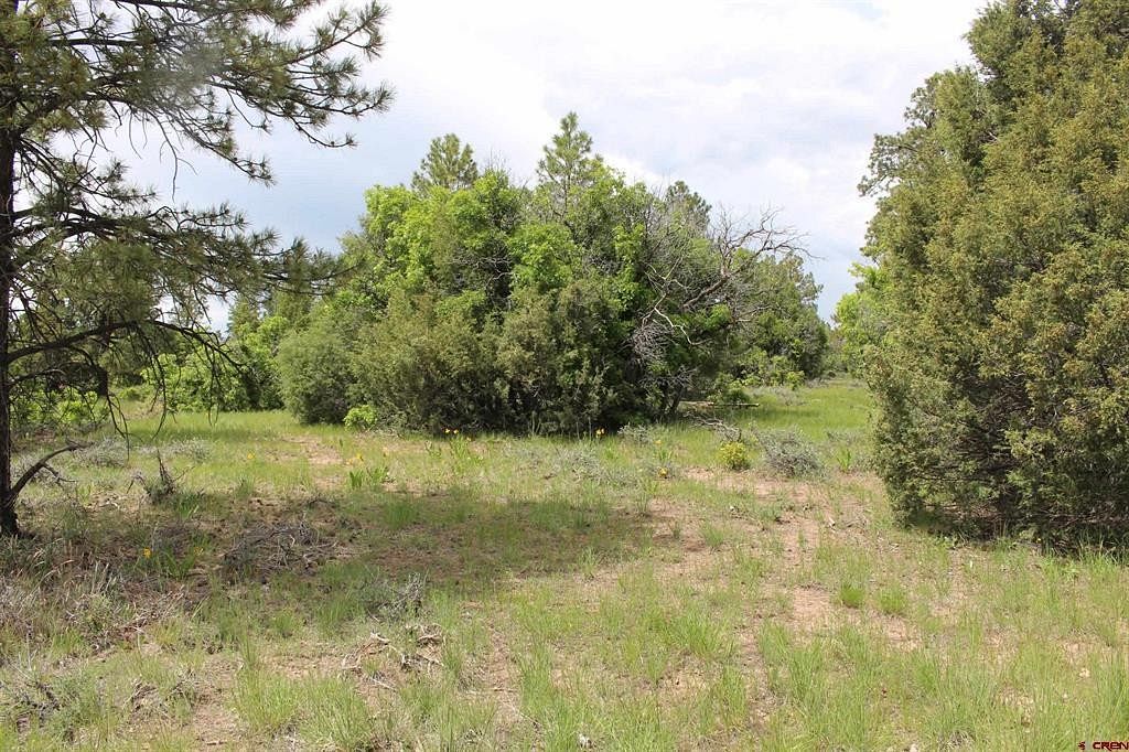 1 Acre of Residential Land for Sale in Pagosa Springs, Colorado