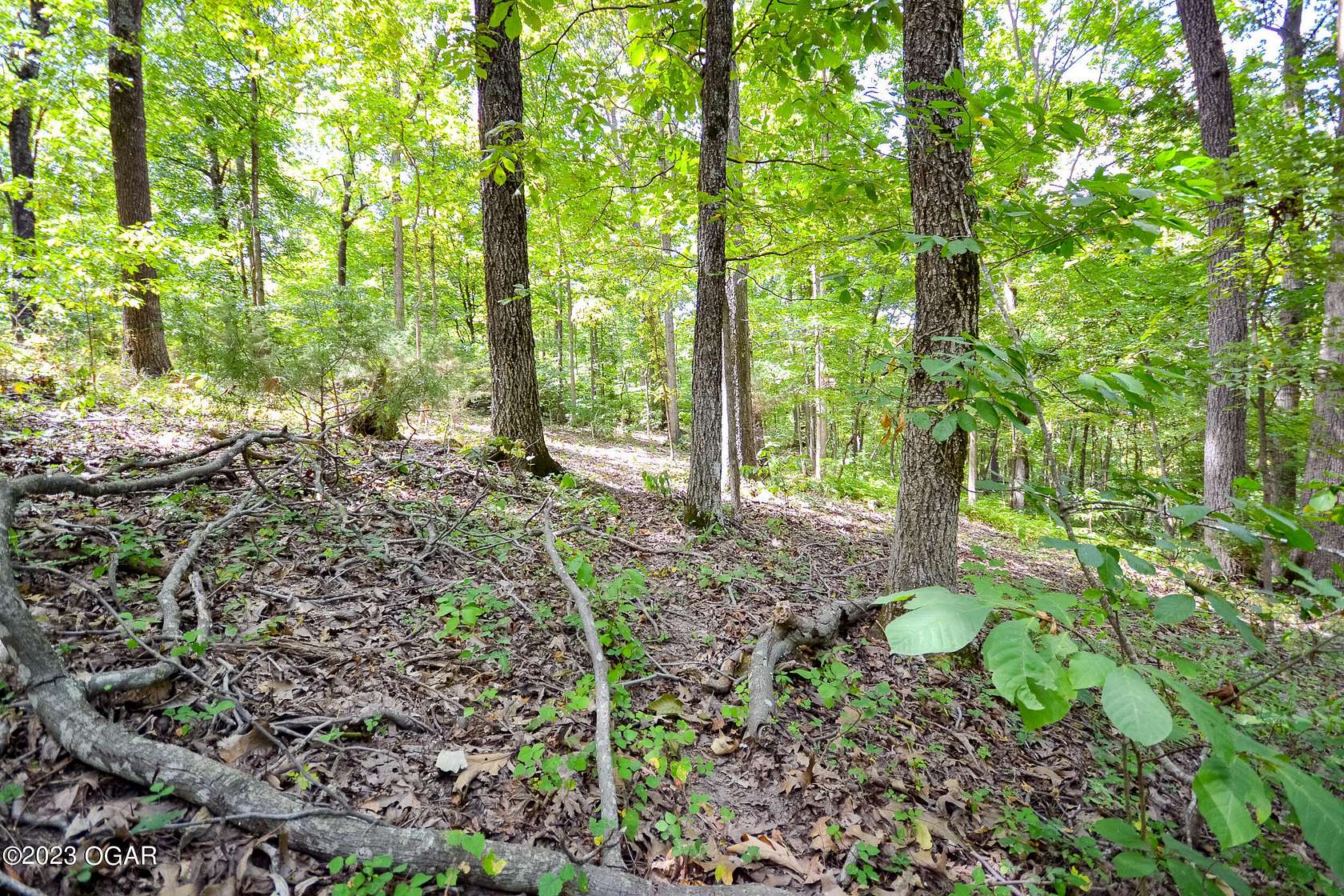 7 Acres of Residential Land for Sale in Cassville, Missouri