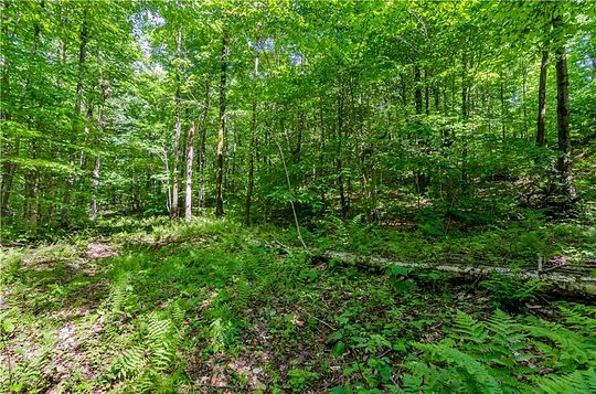 125 Acres of Land for Sale in Franklin, New York