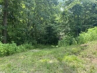 10 Acres of Residential Land for Sale in New Albany, Mississippi