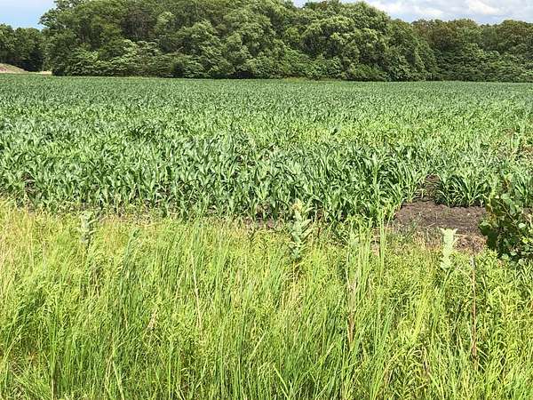 5 Acres of Land for Sale in De Motte, Indiana